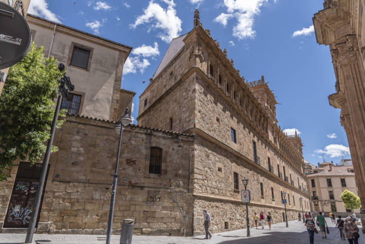 Salamanca 082 - palacio de Monterrey.jpg